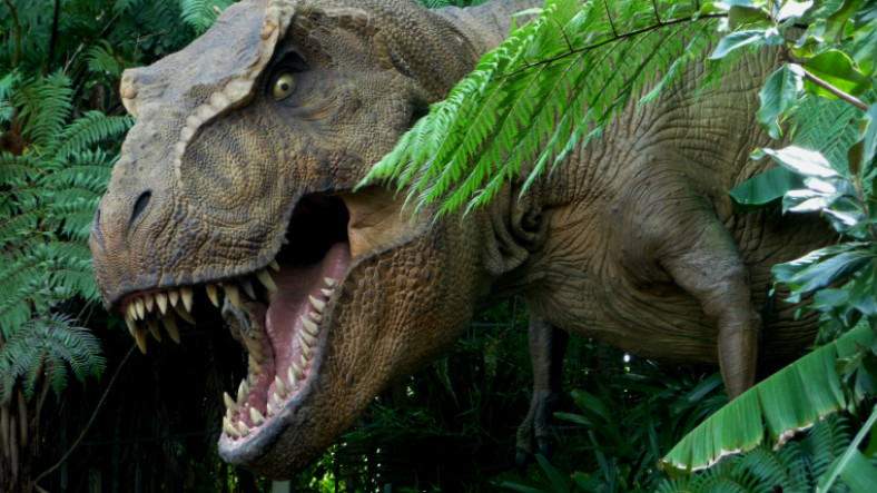 Dinozorlar Hakkında Doğru Bilinen Yanlışlar ve T-rex